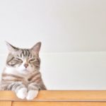 あやね