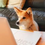 第5回：私は風俗から社会復帰できない？過去問題が合格への近道