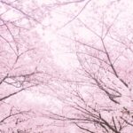 第8回：私は風俗から社会復帰できない？試験直前！やったことは？